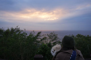 屏東關山夕照 毛孩旅行團搶看2024年最後日落