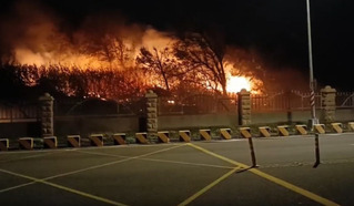 跨年夜放煙火引發台中港森林火警 男子觸法送辦