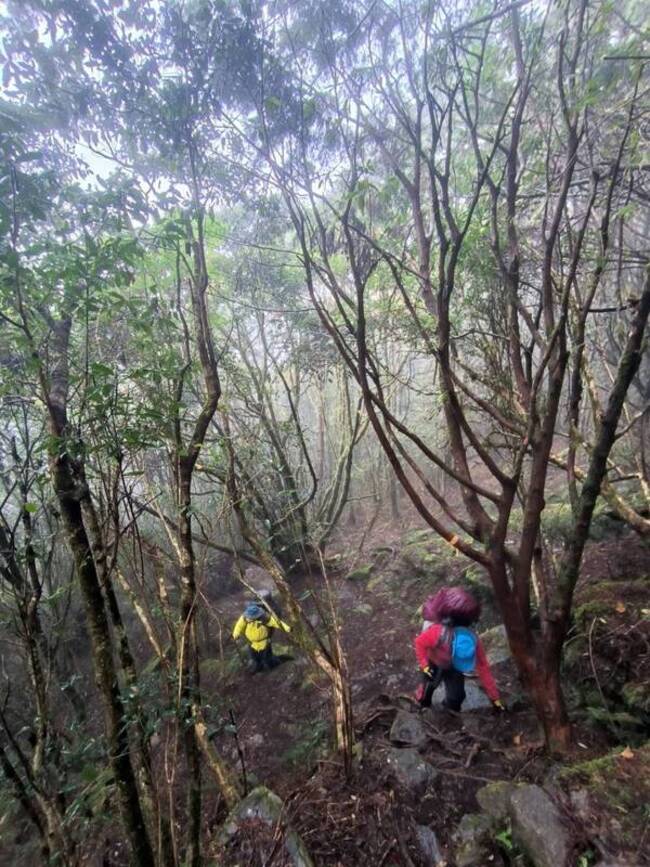 8人攀登南一段 女山友高山症遭獨留山區待援 | 華視新聞