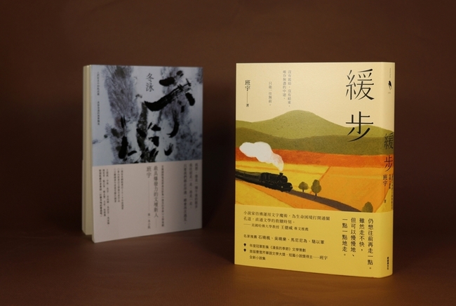 班宇小說集「緩步」 在生活困境中發現希望 | 華視新聞