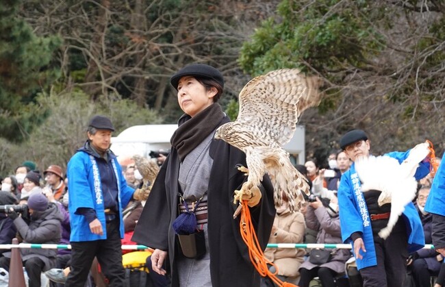 放鷹術表演成新年活動 東京濱離宮庭園湧入遊客 | 華視新聞