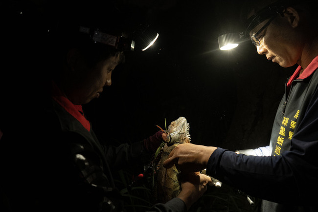 屏東獵龍達人資歷深 魚輪彈弓出勤從不掛零 | 華視新聞