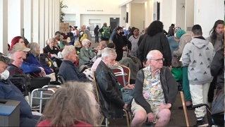 洛杉磯野火災民暫住會議中心 寵物上百隻湧入收容所