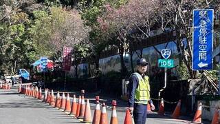 高雄桃源7品種櫻花盛開 警交管措施疏導