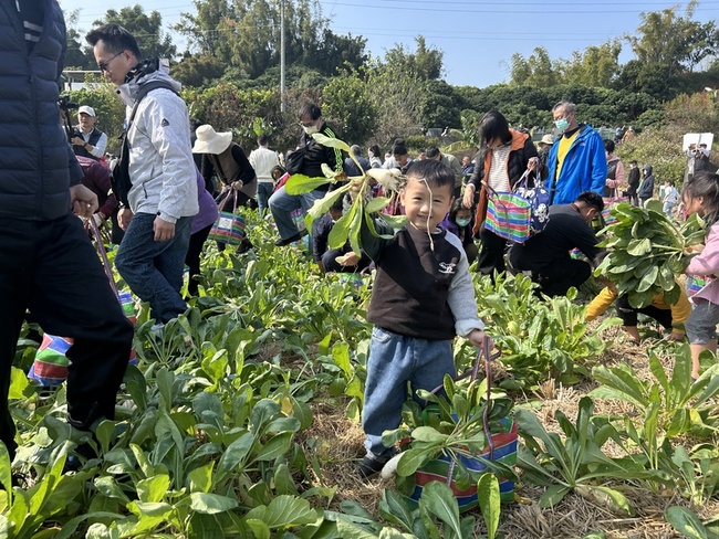 彰化芬園千人拔蘿蔔活動登場 大小朋友滿載而歸 | 華視新聞