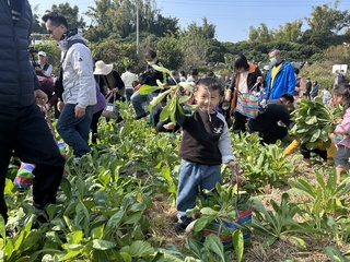 彰化芬園千人拔蘿蔔活動登場 大小朋友滿載而歸