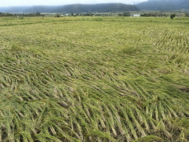 颱風康芮釀花蓮南區農損  7000萬救助金入庫 | 華視新聞