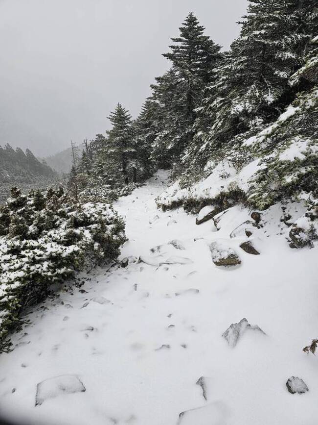 雪山主東線飄瑞雪 雪霸處傳授高山禦寒5要訣 | 華視新聞