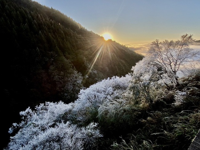 冷氣團發威  宜蘭太平山霧淞日出雲海相映成畫 | 華視新聞