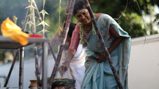 大馬印度教徒歡慶豐收節 陶罐熬甜粥意寓豐收富足