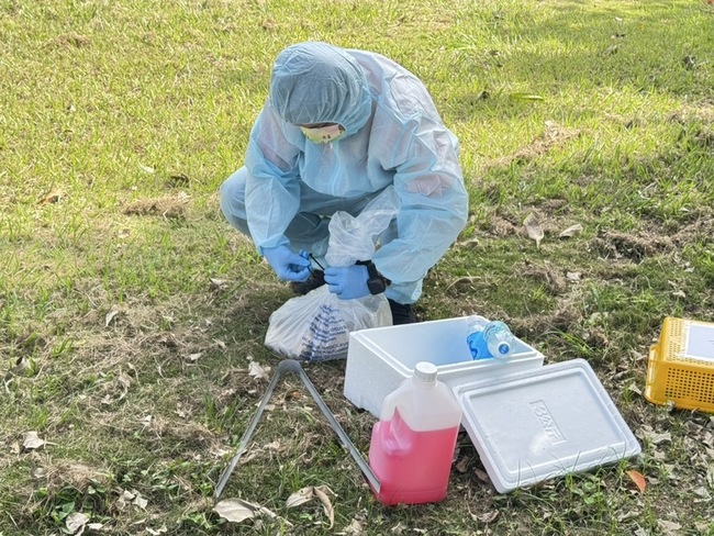 恆春出現鼬獾狂犬病  1/23有免費疫苗快施打 | 華視新聞