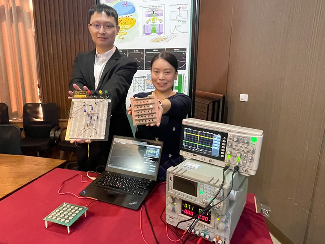 人工智慧皮膚新突破 中興大學開發仿生觸覺電子元件 | 華視新聞