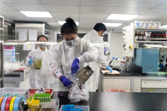 春節前需求增 北農加強檢驗批發市場蔬果農藥殘留 | 華視新聞