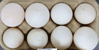 市售禽畜水產品抽驗  1業者鴨蛋抗菌劑超標