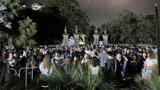 雪梨屍花睽違15年盛開 5萬人爭相「聞臭」堪比演唱會