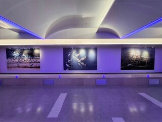 國家公園攝影展桃機登場  秀出台灣珍貴自然資源