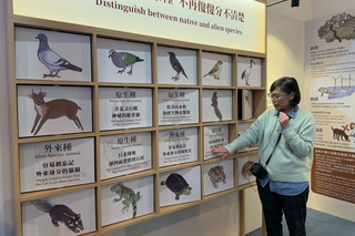 北市動物園：遊蕩犬貓威脅原生物種 勿任意餵食