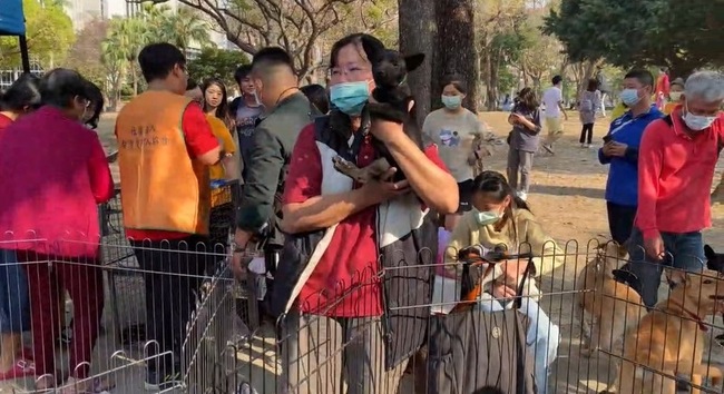 有人潮就有認養潮 屏東縣動物之家認養率破94% | 華視新聞