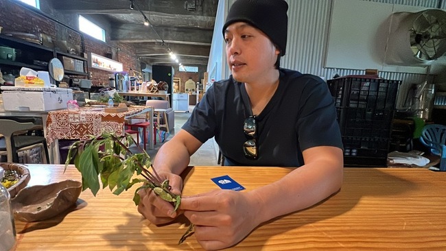 台東首家原住民酒廠 種回阿美族傳統酒麴植物 | 華視新聞