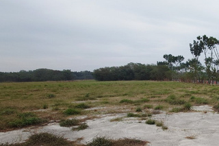 環團反對沙崙農場開發 南市府盼生態優先下發展產業