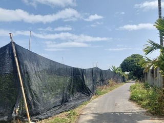 寒流南下  高市農業局提醒加強防範低溫農損