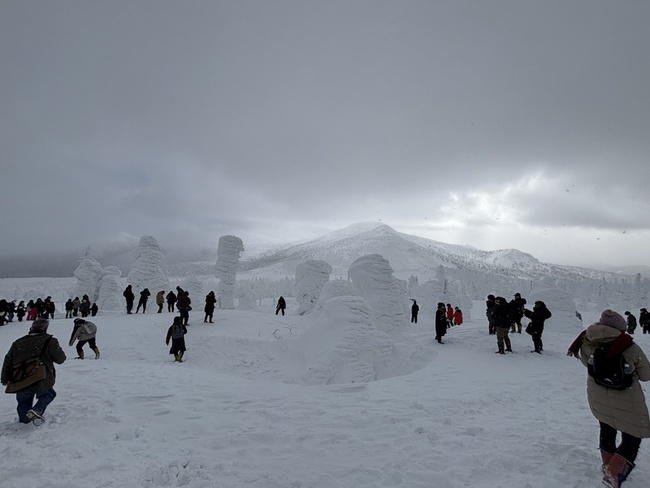 日東北樹冰美景暗藏風險 台網友落入雪洞驚魂1小時 | 華視新聞