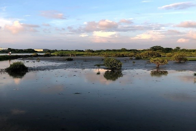 台南改善二仁溪污染 物種由30種提升至41種 | 華視新聞