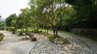 網傳樹葬後骨灰須挖出焚化  北市殯葬處：不可能