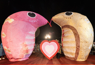 慶元宵情人節  新北平溪天燈雙蛇升空展幸福