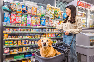 毛小孩400億商機成另類動能 超商推專區布局貓類用品