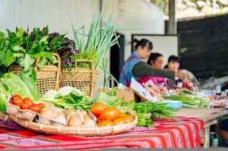 展望會培力部落媽媽  原鄉蔬菜箱改善經濟