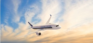 新航將增班澳洲、南非  盼吸台灣在內轉機客