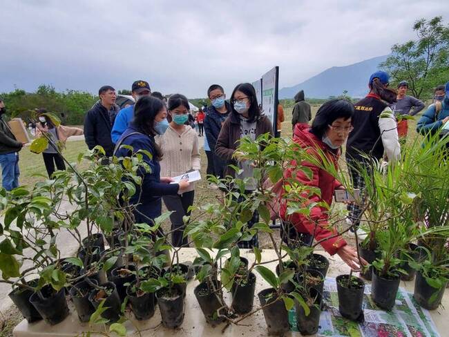 花蓮植樹月織生態綠網 逾萬株原生種樹苗供兌領 | 華視新聞