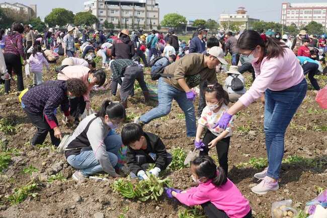 食農教育行銷在地  雲林斗南千人體驗挖馬鈴薯 | 華視新聞