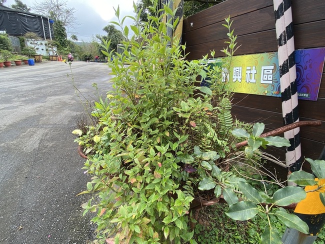 新北滬尾休閒農業區保留人文遺址  推永續共好 | 華視新聞