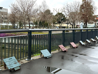 豐原葫蘆墩公園滿布拉筋板 中市府移除助另覓場地