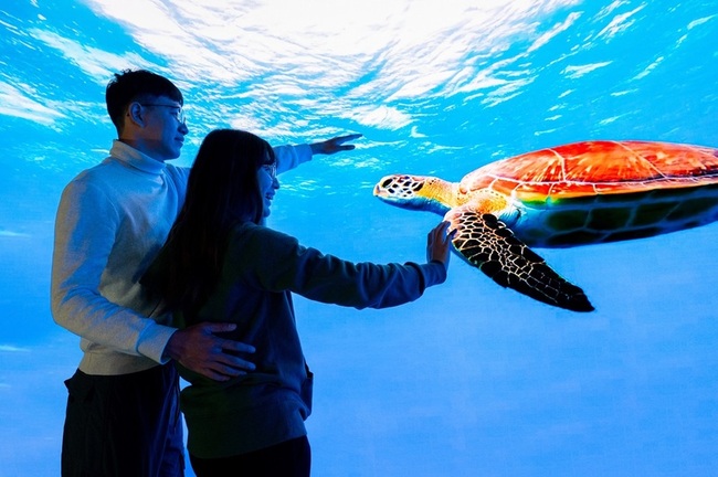 海生館首創弧形LED攝影棚 沉浸體驗深海世界 | 華視新聞