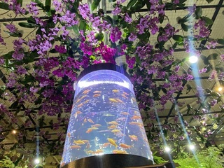 屏東農業物產館蘭花美學展  賞花藝逛市集