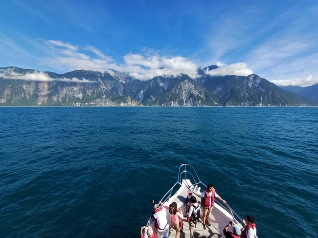 響應棒球熱 宜花東聯手推全年免費賞鯨大獎 | 華視新聞