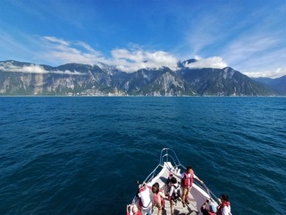 響應棒球熱 宜花東聯手推全年免費賞鯨大獎