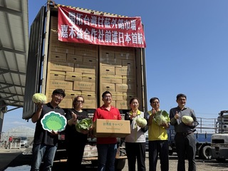 雲林高麗菜外銷日本 台灣鮮甜美味與他國共享