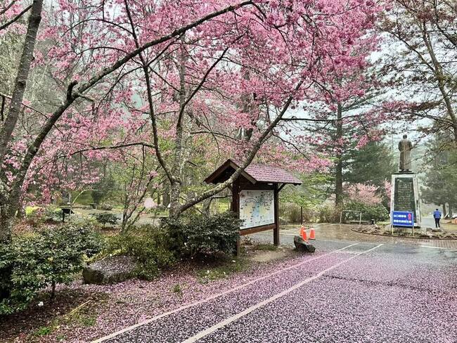 台中和平下冰雹 2客運未過中橫管制站原車折返 | 華視新聞