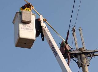 台電金門區處驚蟄啟動線路維護 防鳥獸釀停電事故