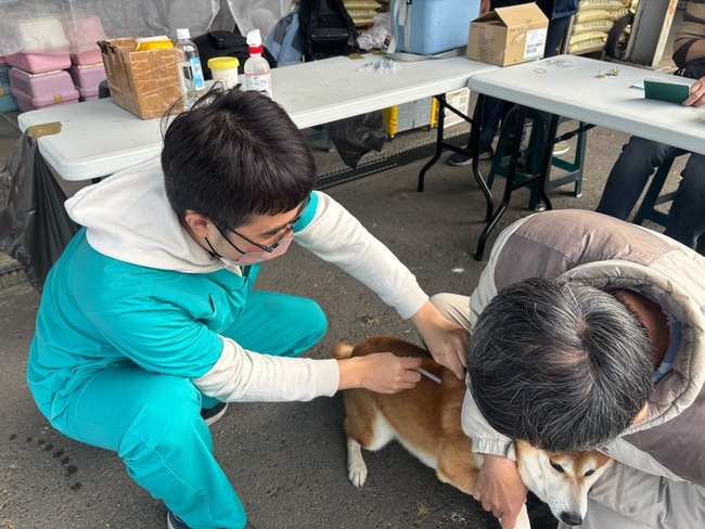 高雄死亡鼬獾有狂犬病  動保處籲登山注意防身 | 華視新聞