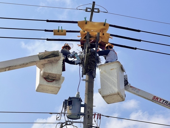 防鳥獸釀停電 台電出動逾4千人強化線路防護 | 華視新聞