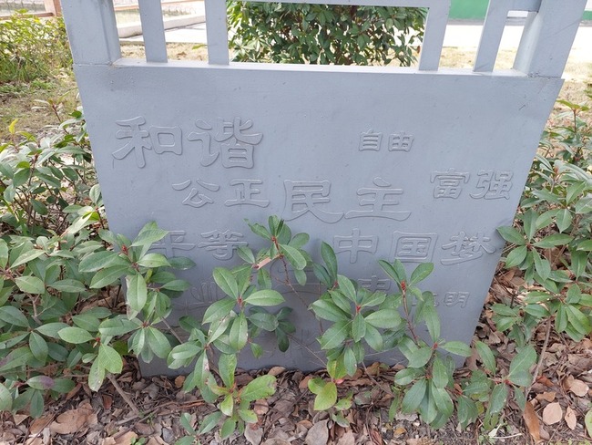 利用混亂時機對台推廣中國式民主 夏明：統戰分化 | 華視新聞