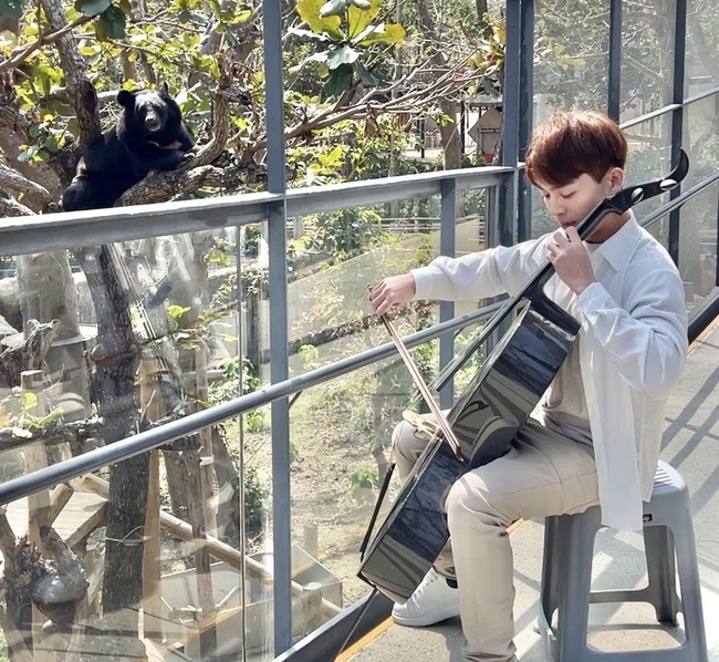 壽山動物園慶生會 黑熊明星隨音樂演奏搖擺 | 華視新聞