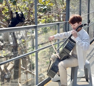 壽山動物園慶生會 黑熊明星隨音樂演奏搖擺