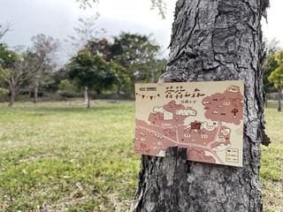 蓊蓊書店金門植物園舉辦新型市集 打開閱讀新可能