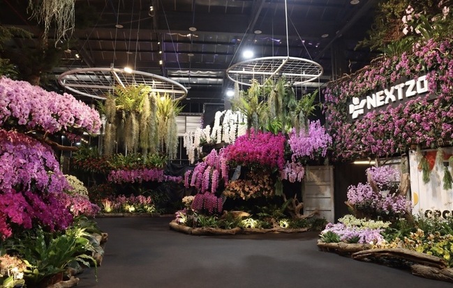 台灣國際蘭展3/8婦女節開展 女性免費入場 | 華視新聞